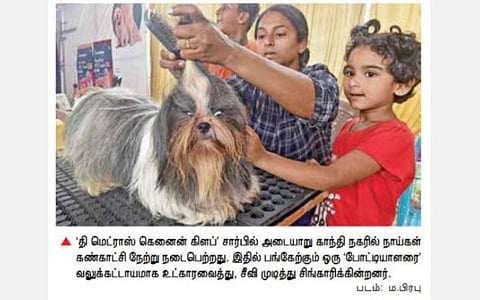 2 ஆண்டுகளுக்குப் பிறகு சென்னையில் களைகட்டிய நாய்கள் கண்காட்சி