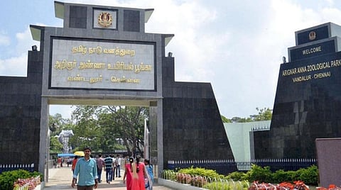 மேலாண்மை, பராமரிப்பில் நாட்டிலேயே சிறந்த பூங்காவாக வண்டலூர் அறிஞர் அண்ணா உயிரியல் பூங்கா தேர்வு