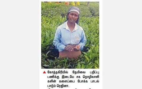 கோத்தகிரியில் தேயிலை பறிப்பு பணியின்போது பாடல் பாடி அசத்தும் பெண் தொழிலாளி