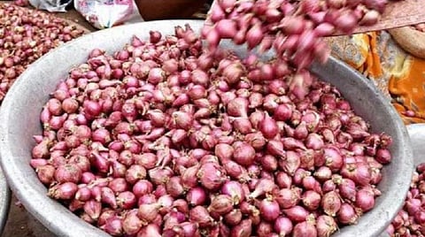 வரும் மாதங்களில் சின்னவெங்காயம் விலை உயரும்: வேளாண் பல்கலை. கணிப்பு