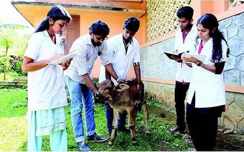 கால்நடை மருத்துவப் படிப்புகளுக்கு அக்.3 வரை ஆன்லைனில் விண்ணப்பிக்க அவகாசம்