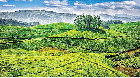 இயற்கையில் மானுட வாழ்க்கை