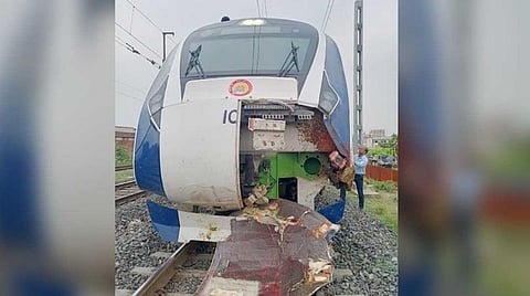 குஜராத் | எருமை மாடுகள் மீது மோதிய வந்தே பாரத் எக்ஸ்பிரஸ் ரயில் - இன்ஜின் சேதம்