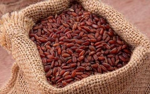 பெண்களுக்கான அரிசி பூங்கார்