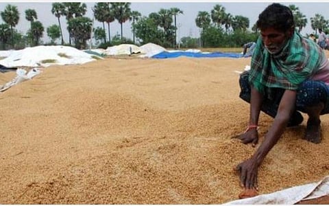22% ஈரப்பத நெல் கொள்முதலுக்கு அனுமதி தேவை: மத்திய அரசுக்கு உணவுத் துறை செயலர் ராதாகிருஷ்ணன் கடிதம்