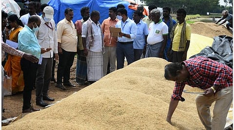 தஞ்சாவூர் அருகே வண்ணாரப்பேட்டை நேரடி நெல் கொள்முதல் நிலையத்தில்  நெல்லின் ஈரப்பதத்தை ஆய்வு செய்த மத்திய குழுவினர் |  படங்கள்: ஆர்.வெங்கடேஷ்