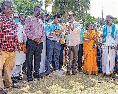 தஞ்சை வண்ணாரப்பேட்டை நெல் கொள்முதல் நிலையத்தில் நேற்று நெல் ஈரப்பதம் தொடர்பாக ஆய்வு செய்த மத்தியக் குழுவினர். படம்: ஆர்.வெங்கடேஷ்