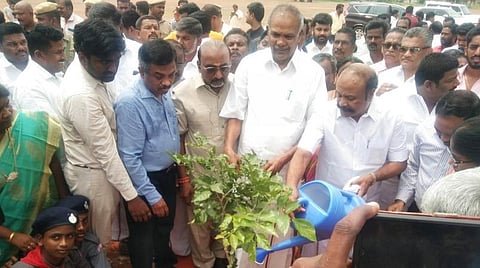 தமிழ்நாட்டுக்கு வழிகாட்டும் பசுமை திருவிழா