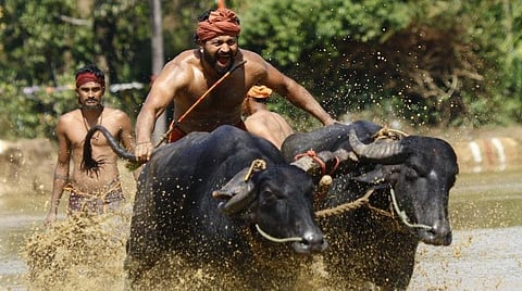 ரூ.16 கோடி பட்ஜெட்... ரூ.200 கோடி வசூல் - ‘கேஜிஎஃப்’ படத்துக்கு அடுத்து ‘காந்தாரா’ கலெக்‌ஷன்!