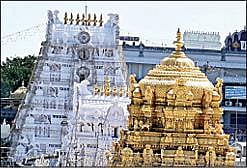 நவம்பர் 1-ம் தேதி முதல் திருப்பதியில் சர்வ தரிசன டோக்கன் விநியோகம் - தேவஸ்தான தலைமை நிர்வாக அதிகாரி தர்மா ரெட்டி தகவல்