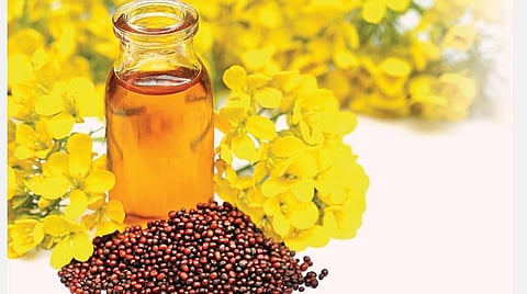 மரபணு மாற்றக் கடுகு: ஆபத்தை உணர்ந்திருக்கிறோமா?
