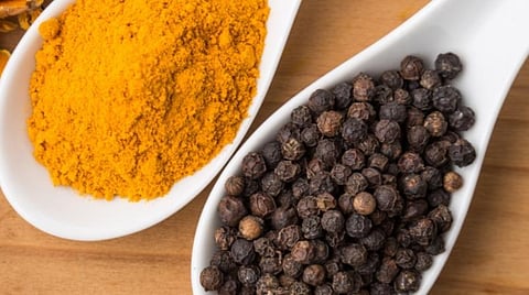 மிளகு, பூண்டு, மஞ்சளில் நோய் எதிர்ப்பு சக்தி அதிகம்: மழைக்கால நோய்களை எதிர்கொள்ள அரசு சித்த மருத்துவர் ஆலோசனை