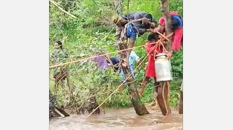 கல்வராயன்மலை பெரியார் நீர்வீழ்ச்சியில் ஆர்ப்பரித்த வெள்ள நீர்.