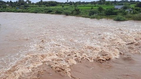 கலசப்பாக்கம் அருகே செய்யாற்றில் ஏற்பட்டுள்ள வெள்ள பெருக்கு | படங்கள் இரா.தினேஷ்குமார்.