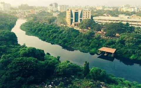 கூவம், அடையாறு, பக்கிங்ஹாமில் குப்பைகள் கொட்டுவோர் மீது சட்டரீதியான நடவடிக்கை: பசுமை தீர்ப்பாயம் உத்தரவு