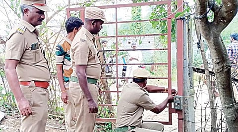 செங்கல்பட்டு அருகே மர்ம விலங்கால் கால்நடைகள் பலியானதை தொடர்ந்து விலங்கின் நடமாட்டத்தை கண்காணிக்க கேமரா பொருத்தும் பணியில் ஈடுபட்டுள்ள வனத்துறை அதிகாரிகள்.
