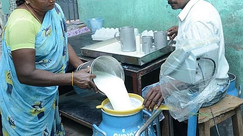 தினசரி பால் கொள்முதல், விநியோகத்தில் மன்னார்குடி பால் உற்பத்தியாளர்கள் கூட்டுறவு சங்கத்துக்கு தேசிய அளவில் 3-ம் இடம்