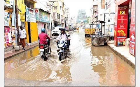 மதுரை கூடலழகர் பெருமாள் கோயில் முன் உள்ள தெருவில்  3 மாதமாக தேங்கியுள்ள கழிவுநீர். படம்: எஸ். கிருஷ்ணமூர்த்தி