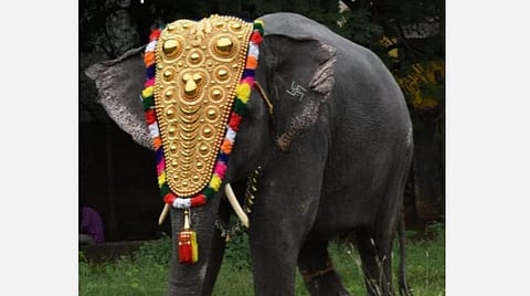 லட்சுமி யானை