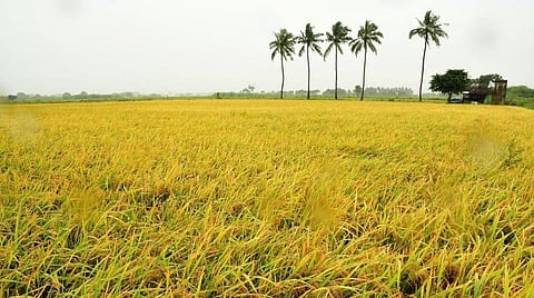 கோப்புப்படம்