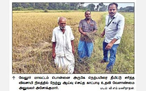 காட்பாடி | கனமழை சேத ஆய்வுக்கு அதிகாரிகள் வராததால் நெற்பயிருக்கு பெட்ரோல் ஊற்றி தீ வைத்த விவசாயி