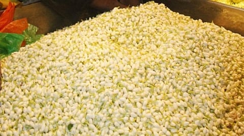 படம்: எஸ்.குருபிரசாத்