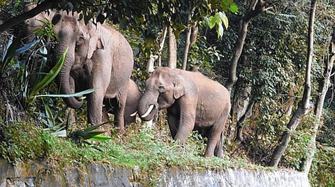 கோப்புப் படம்