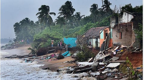 சாய்ந்த மரங்கள், மூடப்பட்ட சுற்றுலா தலங்கள்... - புதுச்சேரியில் மாண்டஸ் புயல் பாதிப்புகள்