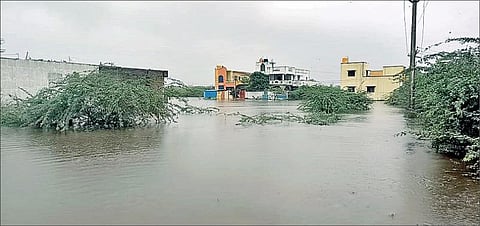 ராணிப்பேட்டையில் வீடுகள், பயிர்கள் சேதம்: மீட்பு பணிகள் தீவிரம்