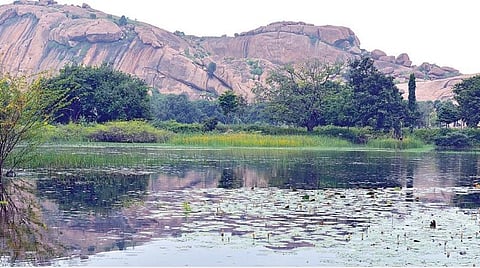 விவசாயத்தால் முன்னேறிய பசுமை கிராமம்: பல்லுயிர் வாழ்விடமாக அறிவிக்கப்பட்ட மதுரை ‘அரிட்டாப்பட்டி’ கதை
