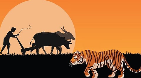 வியட்நாம் நாட்டு கிராமியக் கதை: அறிவு எப்படி இருக்கும்?