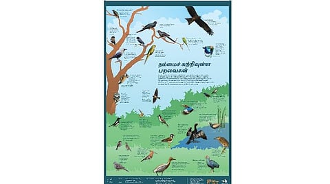 பறவைகளை அறிவோமா?