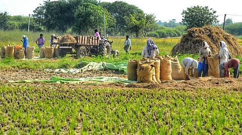வேளாண் கொள்கை: நூலக அம்சமும் அவசியம்!