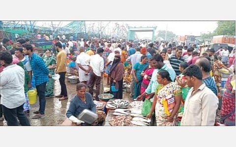 கடலூர் துறைமுகத்தில் நேற்று மீன் வாங்க குவிந்திருந்த கூட்டம்.