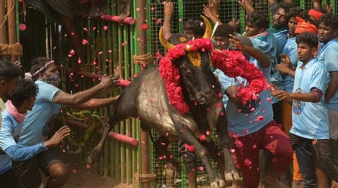 கோப்புப்படம்