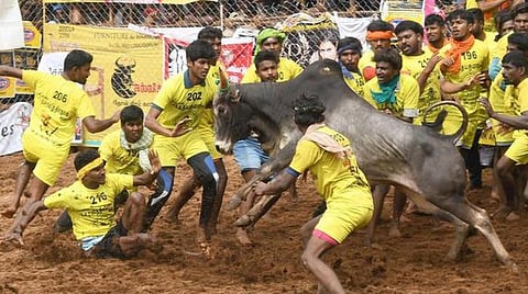 ஜன. 17-ல் அலங்காநல்லூர் ஜல்லிக்கட்டு