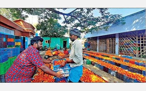 தருமபுரி மாவட்டம் பாலக்கோடு தக்காளி மண்டியில் தொழிலாளர்கள் தக்காளி பழங்களை தரம் பிரிக்கும் பணியில் ஈடுபட்டனர்.