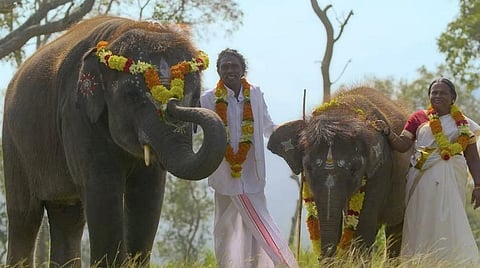 ஆஸ்கர் விருது பரிந்துரை பட்டியல் - முதல் முறையாக இந்தியாவிலிருந்து நான்கு தேர்வுகள்