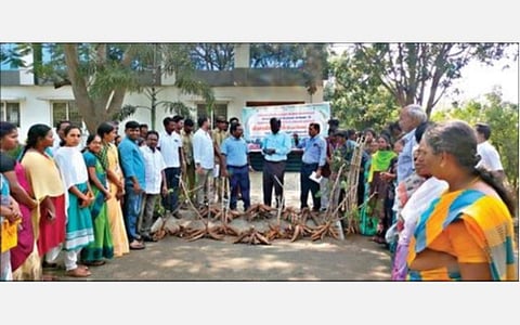 நாமக்கல் வேளாண்மை அறிவியல் நிலையத்தில் நடைபெற்ற விவசாயிகள் தின விழாவில் புதியதாக அறிமுகம் செய்யப்பட்டுள்ள மரவள்ளி ரகங்கள் குறித்து விவசாயிகளுக்கு விளக்கிக் கூறப்பட்டது.