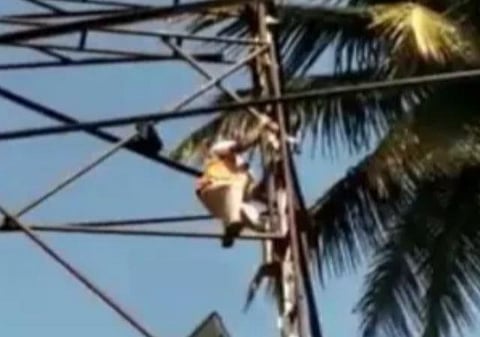 பறவையை காக்கும் காவலர் | படம்: ட்விட்டர் வீடியோ