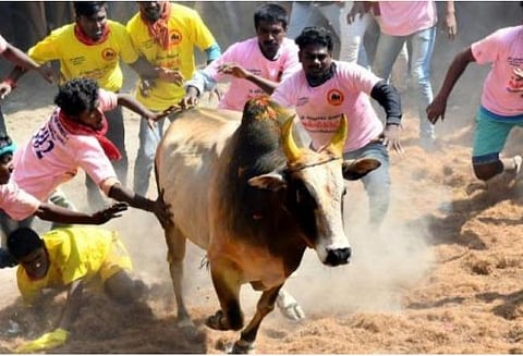 கோப்புப் படம்
