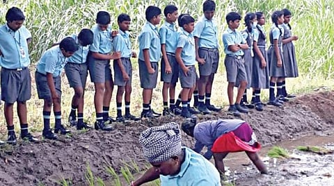 அனுபவ அறிவே ஆனந்தம்