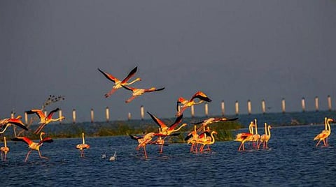 கோப்புப்படம்
