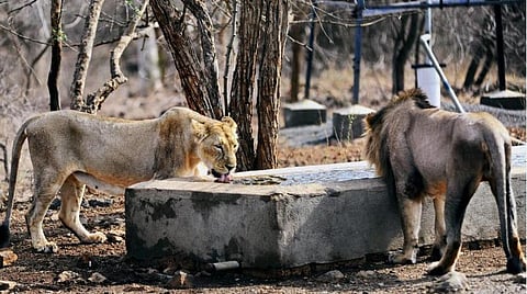 பிரதிநிதித்துவப்படம்