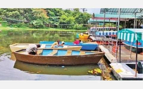 பிரதிநிதித்துவப் படம்