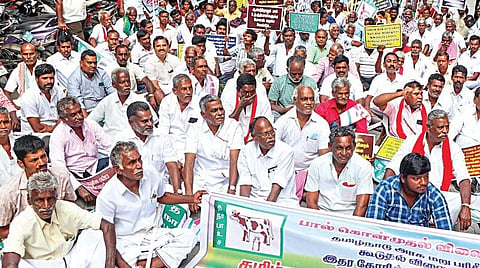 தமிழக பால் உற்பத்தியாளர் சங்கத்தினரின் காத்திருப்பு போராட்டம் தற்காலிகமாக ஒத்திவைப்பு