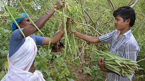 பிரதிநிதித்துவப் படம்