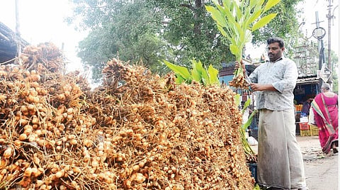 திருநெல்வேலி மற்றும் பாளையங்கோட்டையில் பொங்கலை முன்னிட்டு மஞ்சள் குலை ,பூக்கள் விற்பனை நேற்று களைகட்டியிருந்தது. படங்கள்: மு.லெட்சுமி அருண்