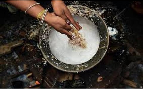 பொங்கல் பண்டிகை | கோப்புப் படம்