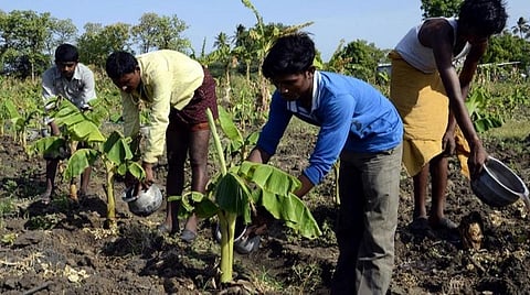 பிரதிநிதித்துவப் படம்